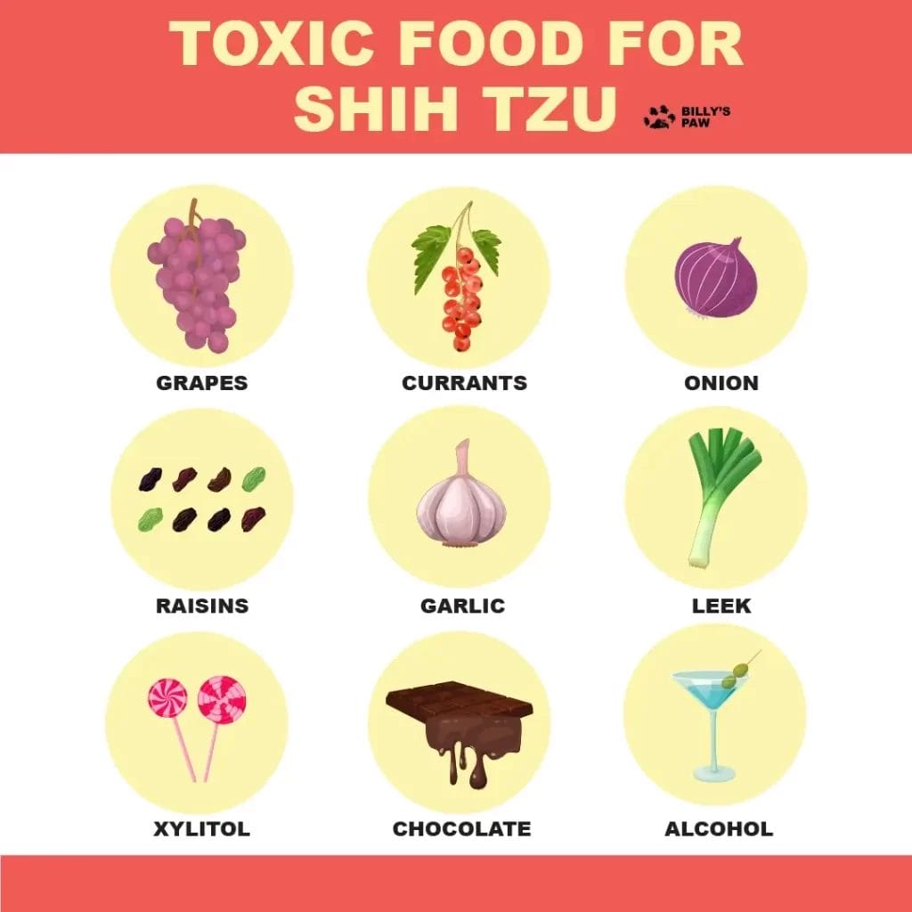 Toxic fruits and vegetables for Shih Tzu