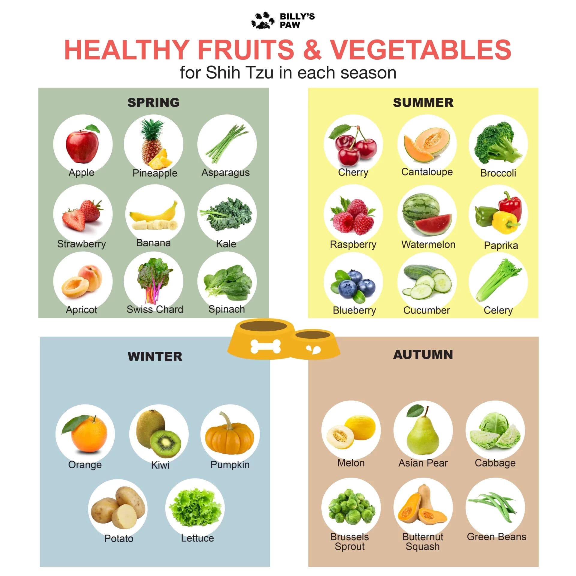What fruits and vegetables can Shih Tzu eat in each season