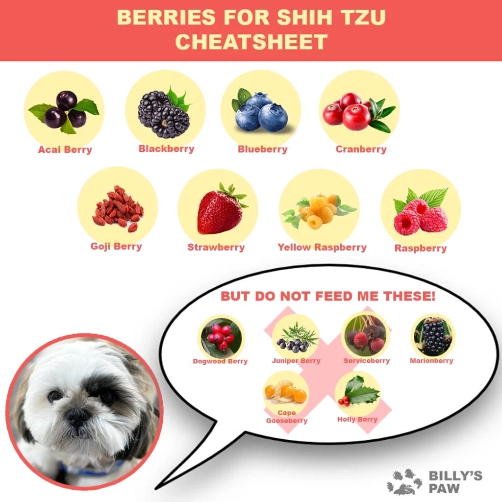 Berries For ShihTzu Cheatsheet