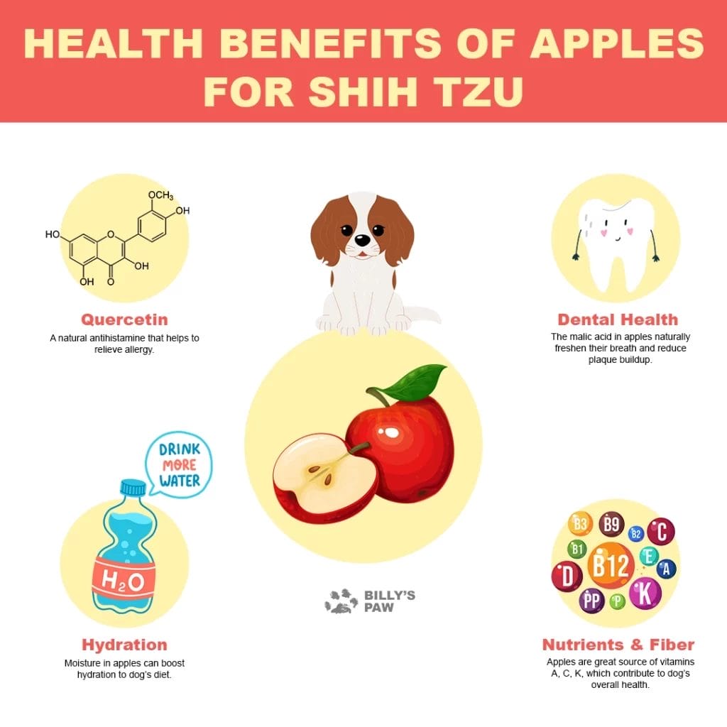 Health Benefits of Apples for Shih Tzu