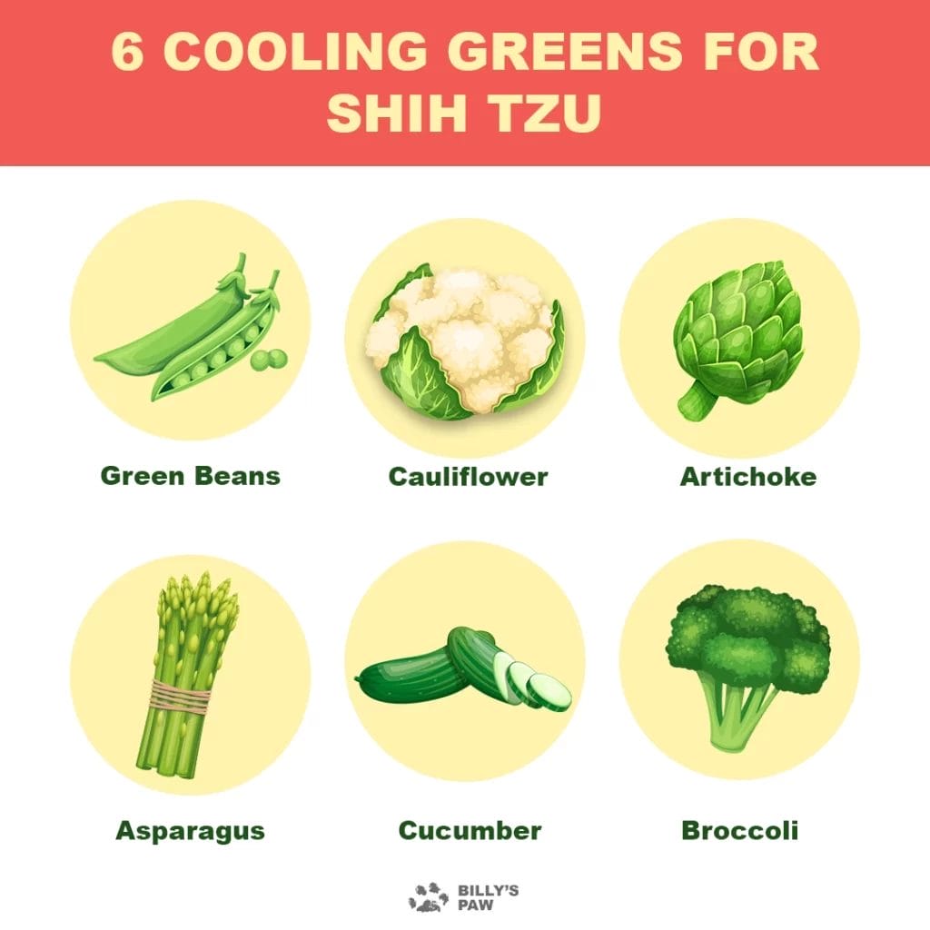Cooling Vegetables For Shih Tzu