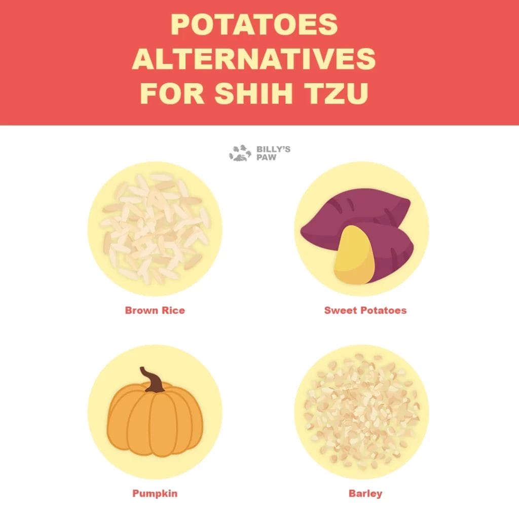 Potatoes Alternatives For Shih Tzu