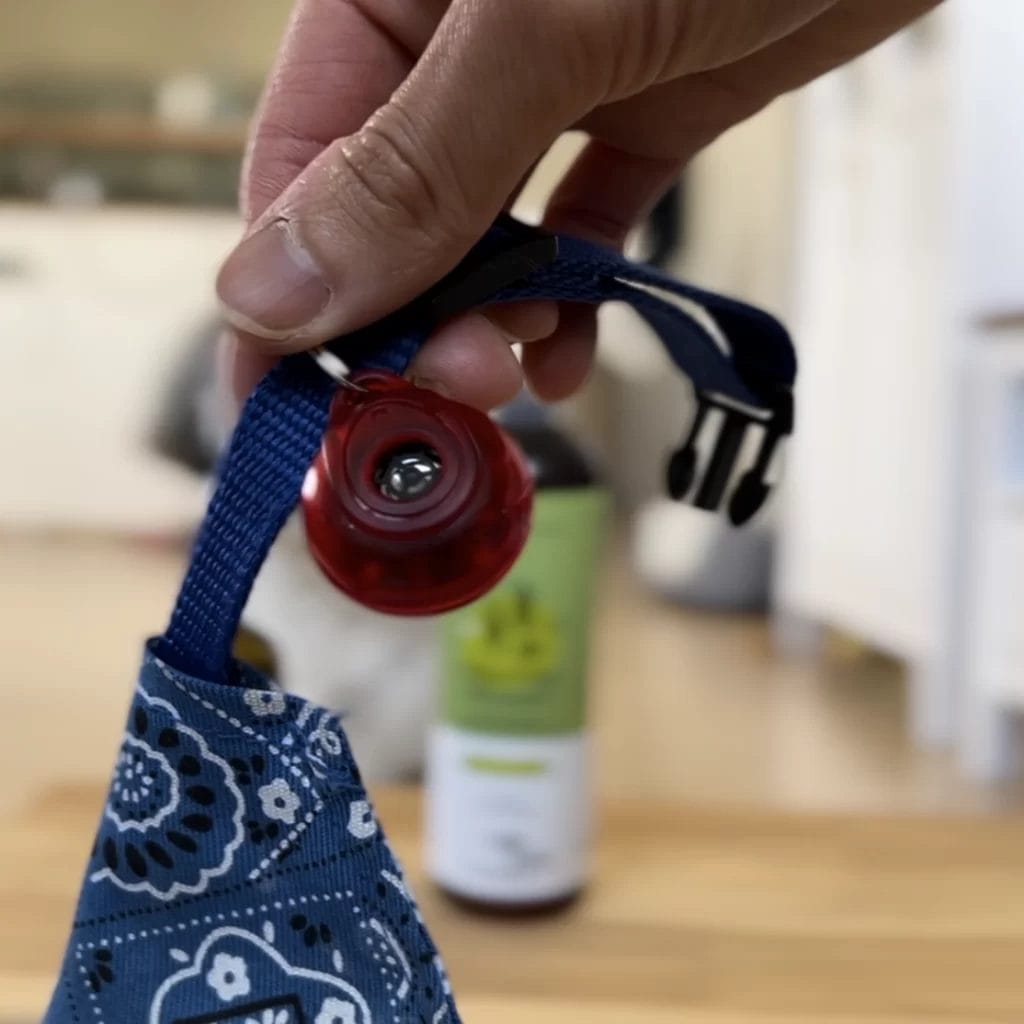 How Do I Prevent Flea and Tick for My Shih Tzu? (Real Experience) 5 Electronic Repeller