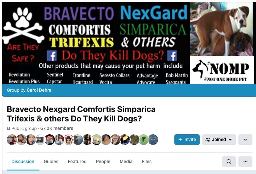 How Do I Prevent Flea and Tick for My Shih Tzu? (Real Experience) 10 Facebook Group