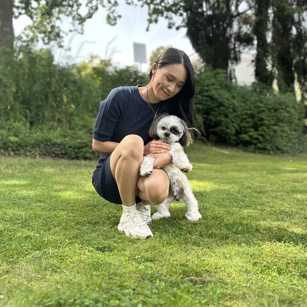 How Do I Prevent Flea and Tick for My Shih Tzu? (Real Experience) 2 Shih Tzu In Zurich