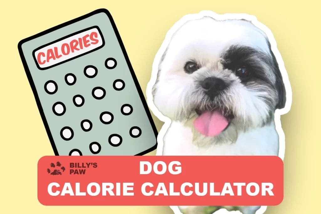 Dog Calorie Calculator