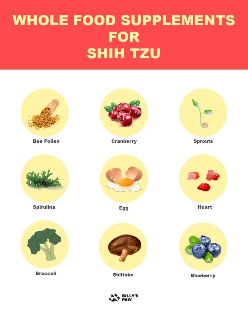 Human Foods for Shih Tzu