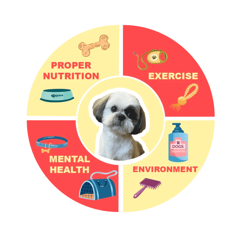 What Does Holistic Shih Tzu Care Mean