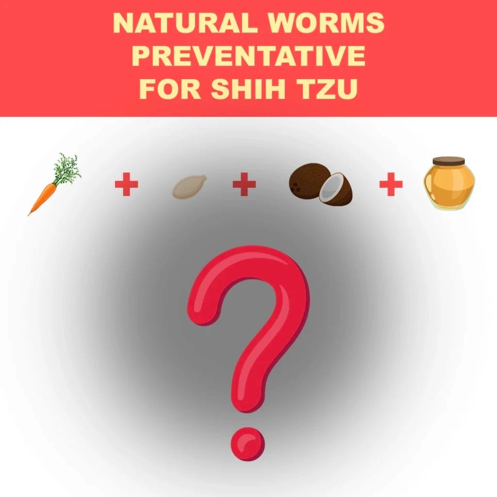 Natural worm preventative for Shih Tzu