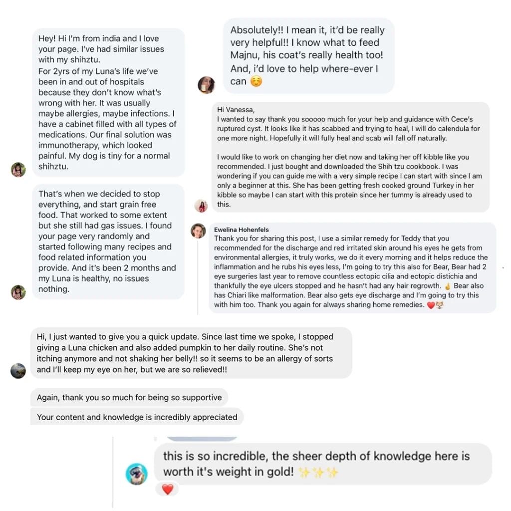 Billys Paw Testimonials