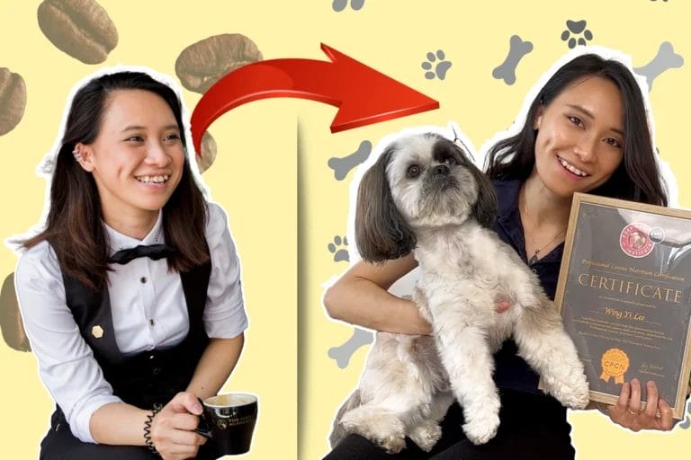 From Crafting Lattes to Healing Shih Tzu 1 From-barista-to-canine-nutritionist