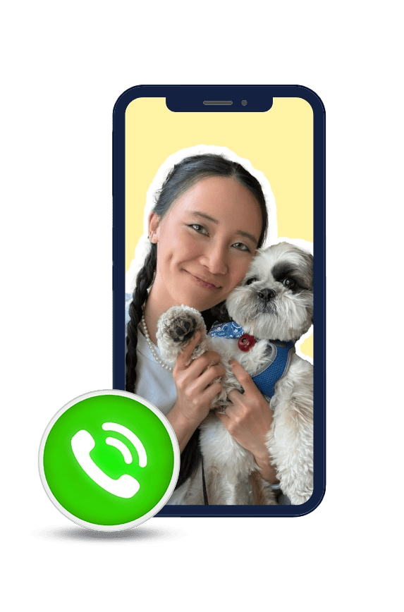 1 1 Shih Tzu Diet Advice Call