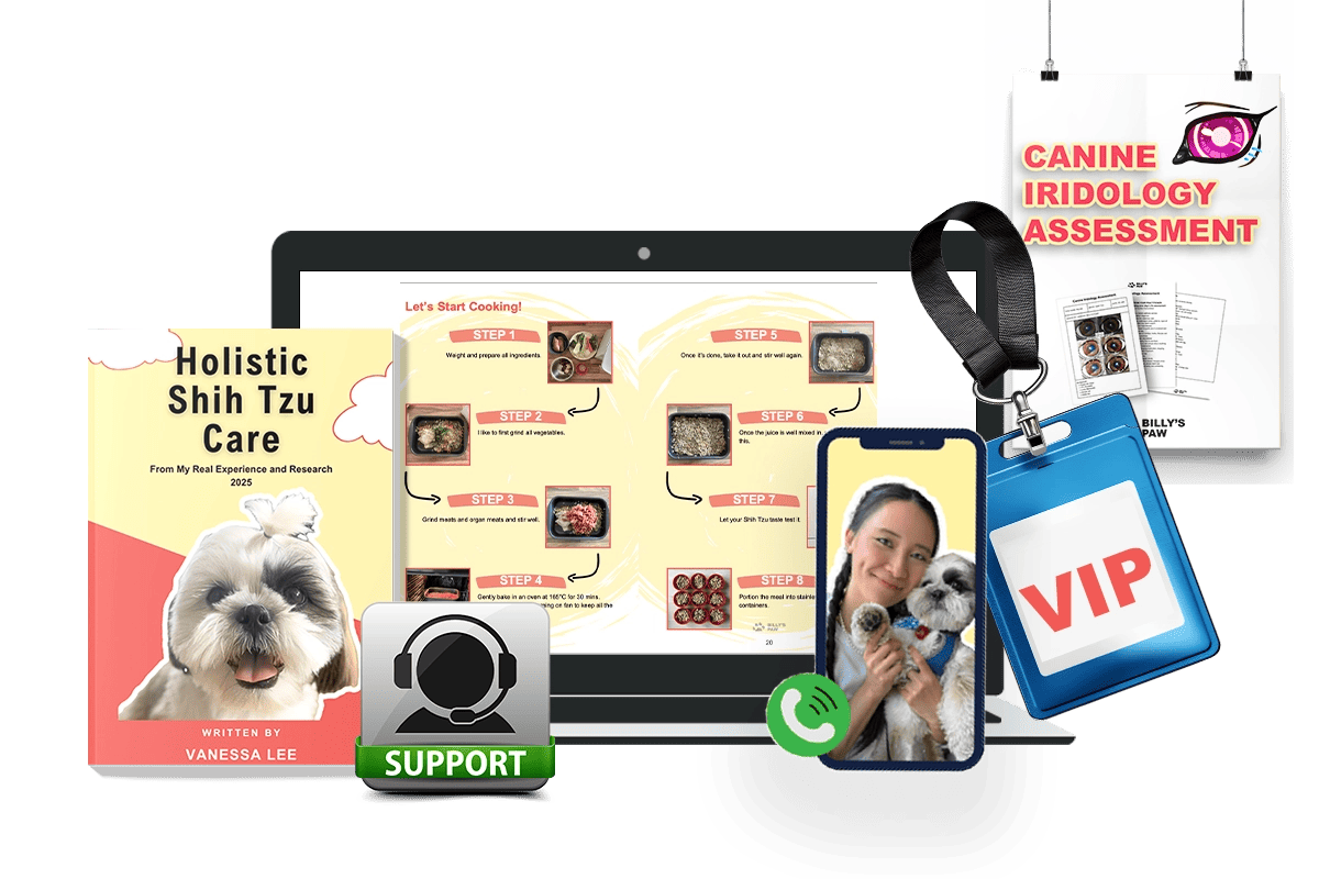 1 1 Holistic Shih Tzu Consultation