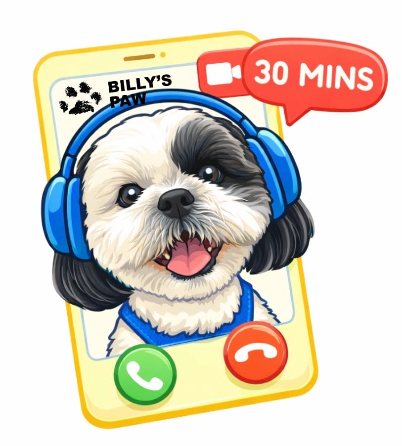 Work With Me 1 30 min Q and A