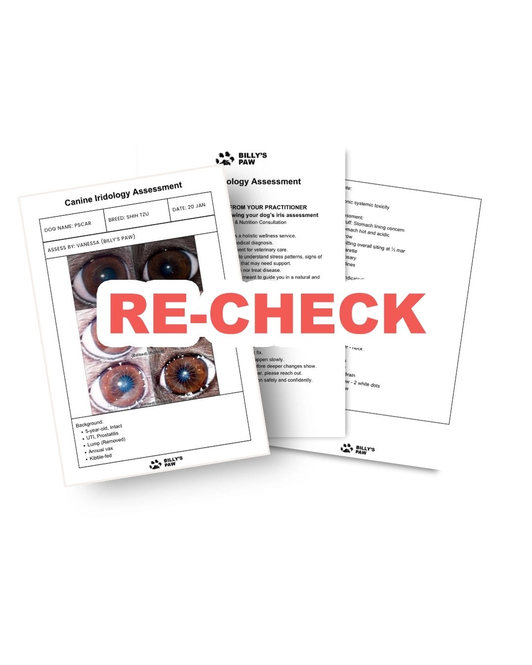 Work With Me 3 Canine Iridology Assessment Recheck