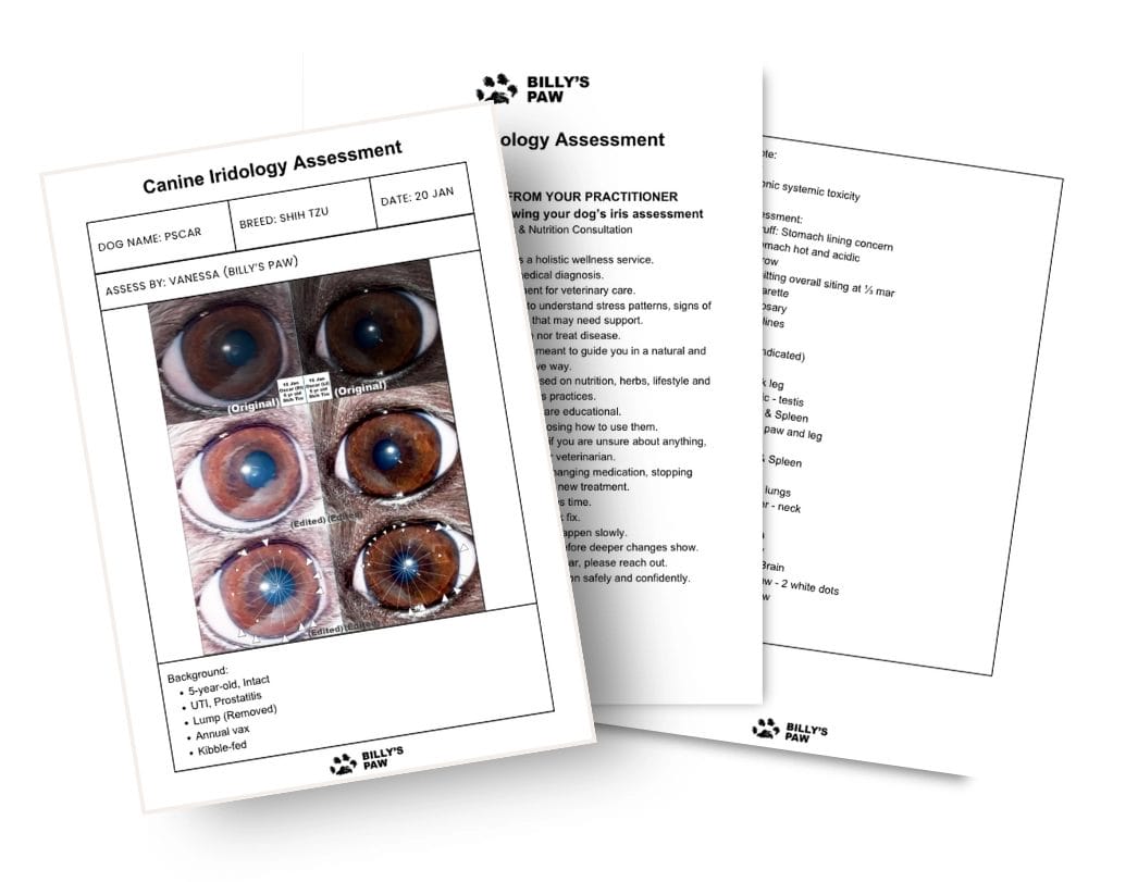 Canine Iridology Assessment Sample copy