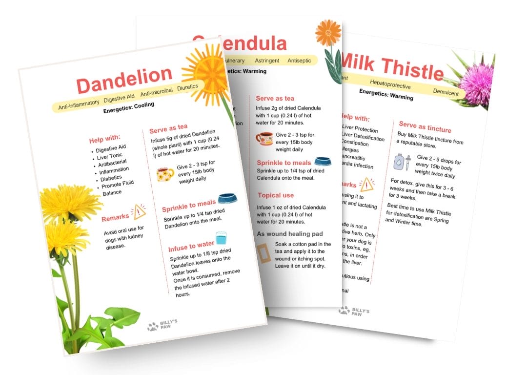 Herbal Recommendations For Shih Tzu Sample