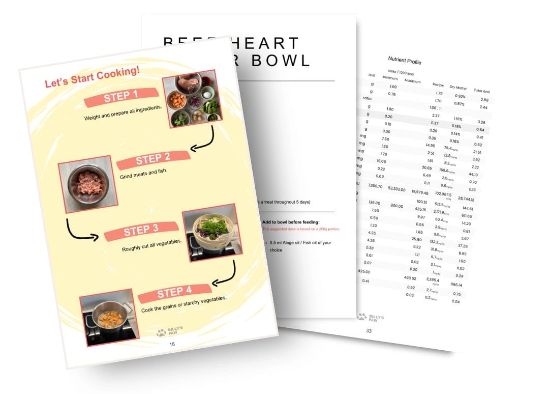 Shih Tzu Dog Food Recipe Sample